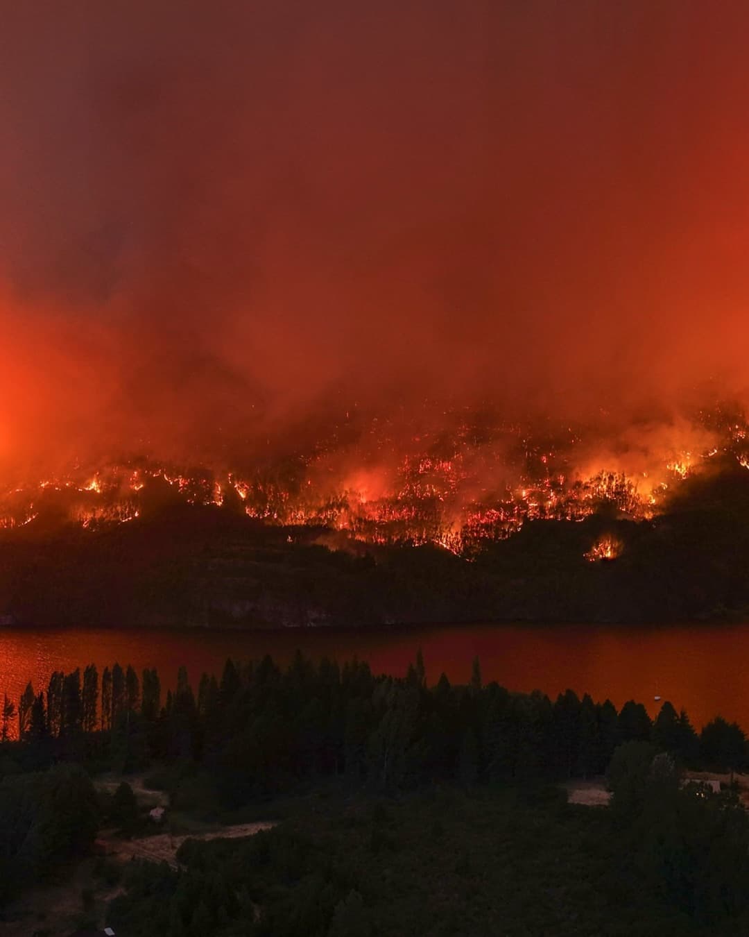 Bomberos enfrentando incendio forestal en la Patagonia